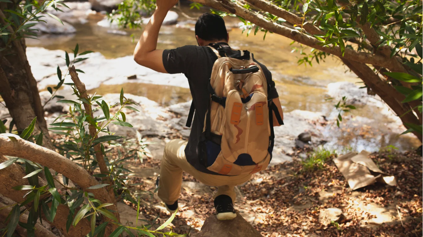 Kualoa Ranch Jurassic Adventure Tour